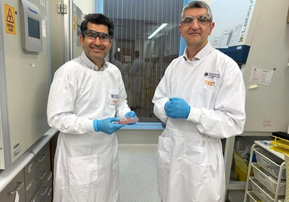 hmbs-skin-replica-1080 Dr Abbas Shafiee (left) and Professor Kiarash Khosrotehrani from UQ's Frazer Institute in the lab.